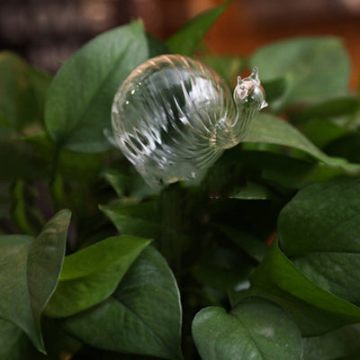 Self-Watering Glass Bird for Plants - Decorative & Functional
