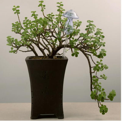 Self-Watering Glass Bird for Plants - Decorative & Functional