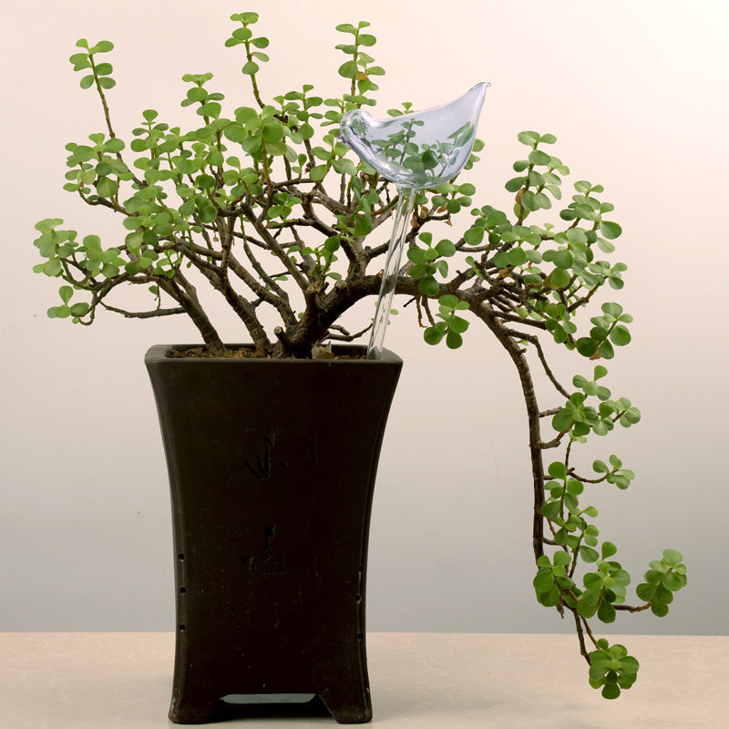 Self-Watering Glass Bird for Plants - Decorative & Functional