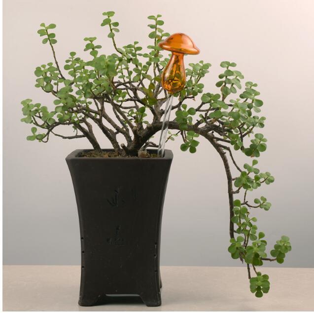 Self-Watering Glass Bird for Plants - Decorative & Functional