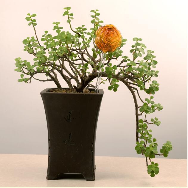 Self-Watering Glass Bird for Plants - Decorative & Functional