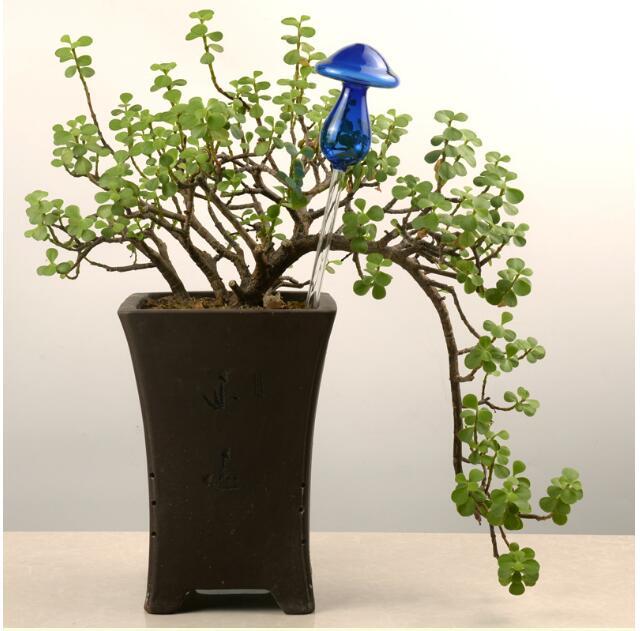 Self-Watering Glass Bird for Plants - Decorative & Functional