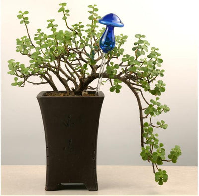 Self-Watering Glass Bird for Plants - Decorative & Functional