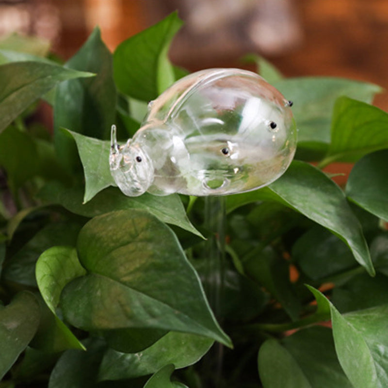 Self-Watering Glass Bird for Plants - Decorative & Functional