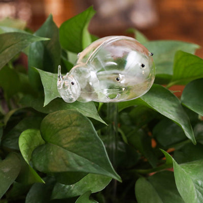 Self-Watering Glass Bird for Plants - Decorative & Functional