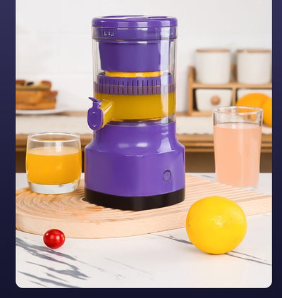 Electric Fruit Juicer