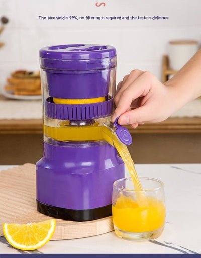 Electric Fruit Juicer
