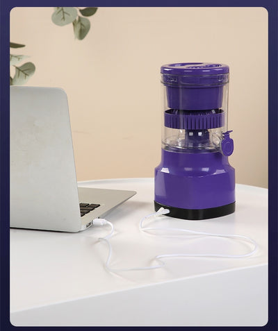 Electric Fruit Juicer