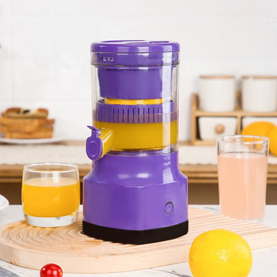 Electric Fruit Juicer