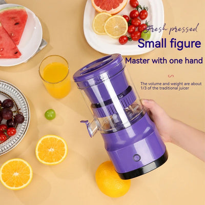 Electric Fruit Juicer
