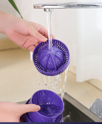Electric Fruit Juicer